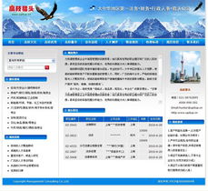 專業(yè)鑄就卓越 上海網(wǎng)站建設(shè)公司成功案例與信息技術(shù)咨詢價(jià)值